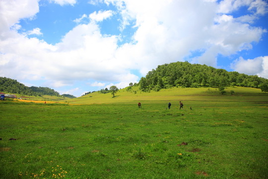 關(guān)山草原