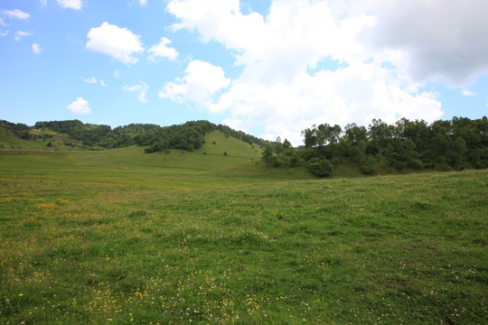 關(guān)山草原