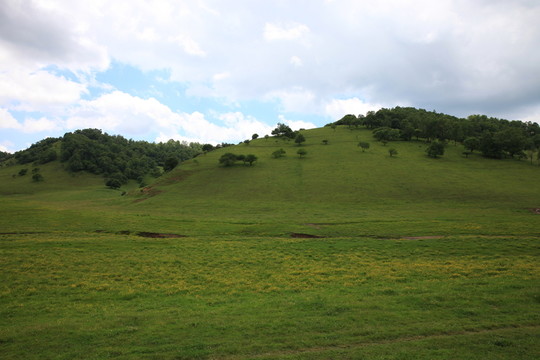 關(guān)山草原