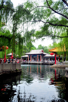 濟(jì)南風(fēng)光 園林 趵突泉