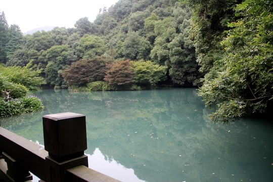 溪水  小溪  溪流
