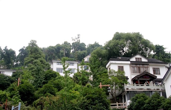 茶園 建筑