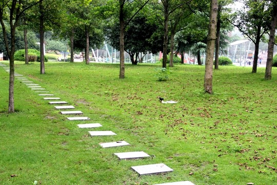 綠地