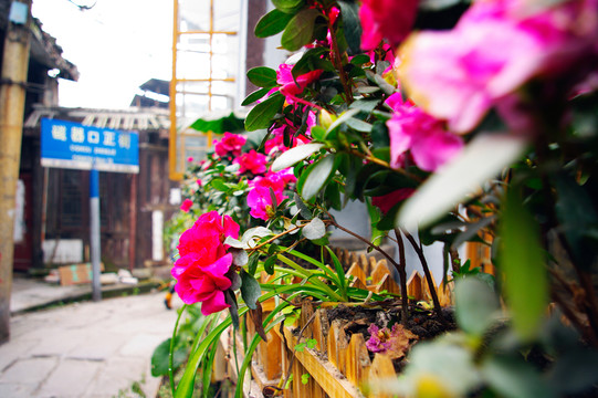 古鎮(zhèn)街道
