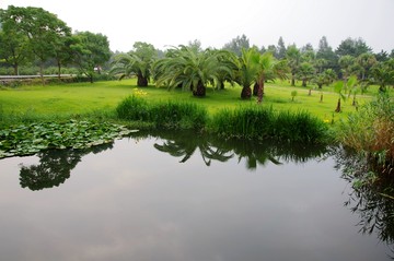 園林綠化
