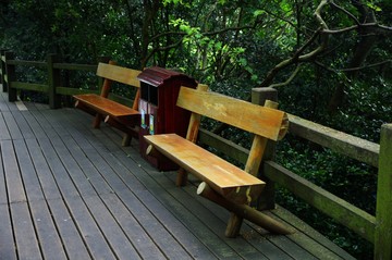 公園 步道