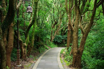 石板路