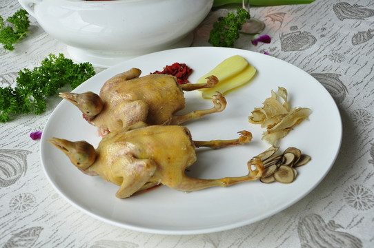 天麻乳鴿