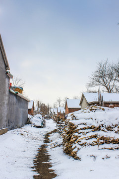 故鄉(xiāng)的雪