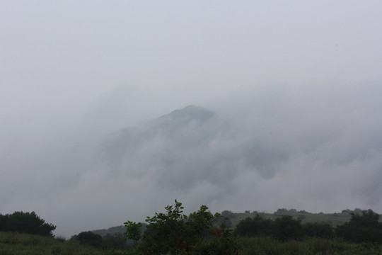 嵩山 山頂 草甸 云霧