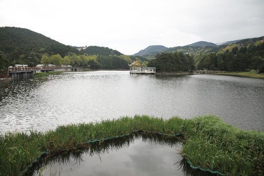 廬山如琴湖
