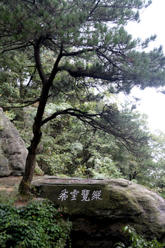 廬山迎客松