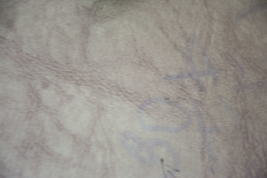 紋理 背景