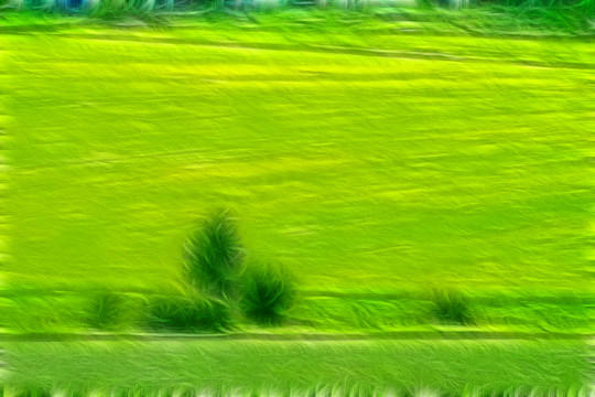 电脑画 绿色原野