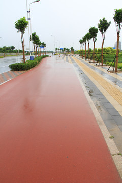 五彩路
