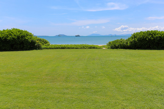 海邊草地