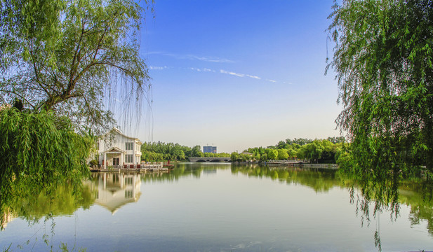 城市風(fēng)光