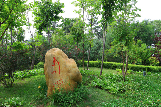 東北林業(yè)大學
