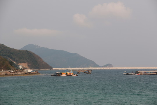 大海