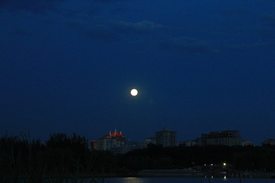 月亮  蘆葦  夜景