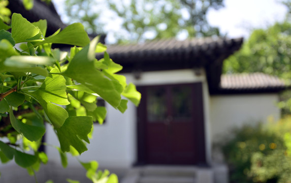 園林景觀