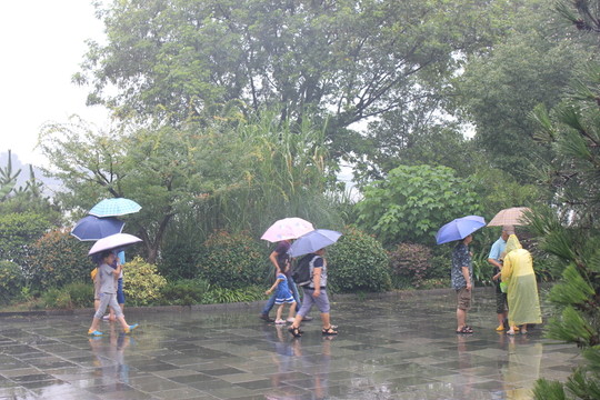 在雨中