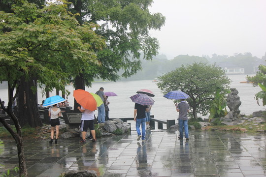 雨中的西湖邊