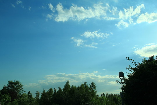 樹林 草地  藍(lán)天 白云