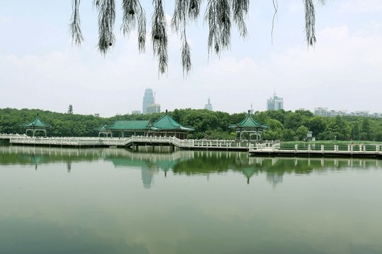 梨園風(fēng)景