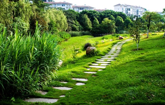 吉安風(fēng)光 后河 小路