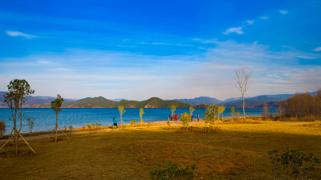 瀘沽湖草海