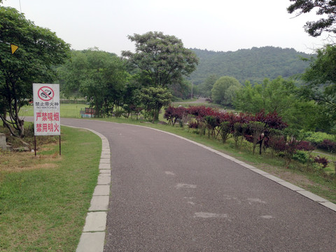 南京 將軍山 風(fēng)景 戶外 公園
