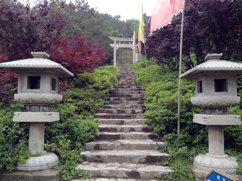 南京 將軍山 風(fēng)景 戶外 公園
