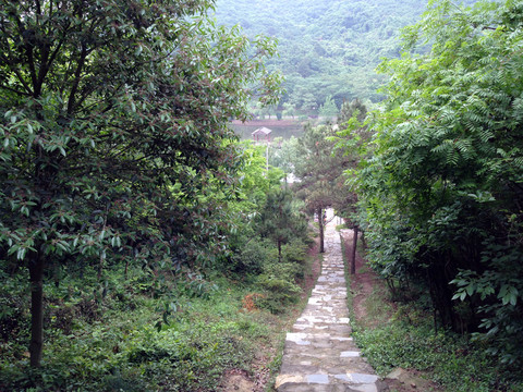 南京 將軍山 風(fēng)景 戶外 公園