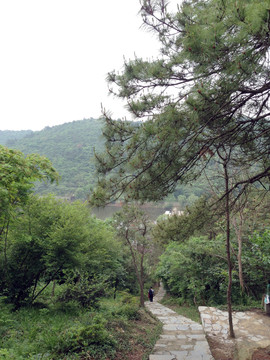 南京 將軍山 風(fēng)景 戶外 公園