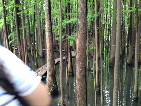 南京 將軍山 風(fēng)景 戶外 公園