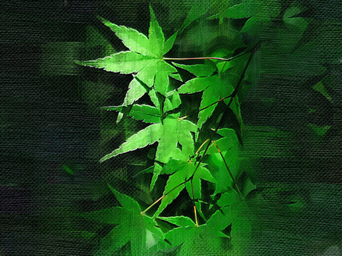 裝飾畫