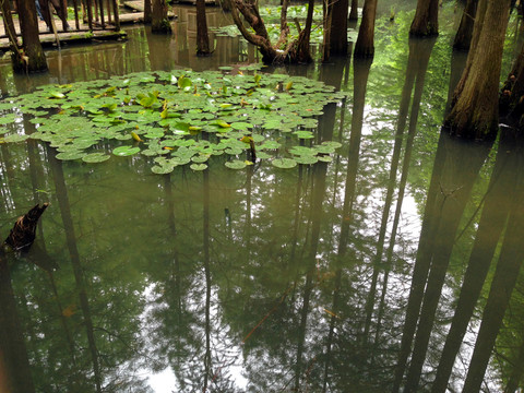 南京 將軍山 風(fēng)景 戶外 公園