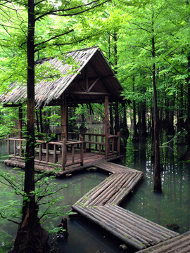 南京 將軍山 風(fēng)景 戶外 公園
