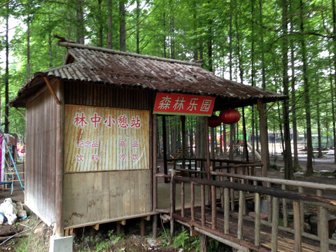 南京 將軍山 風(fēng)景 戶外 公園