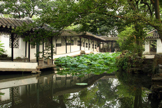 拙政園