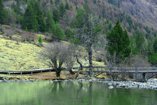 雙橋溝盆景灘