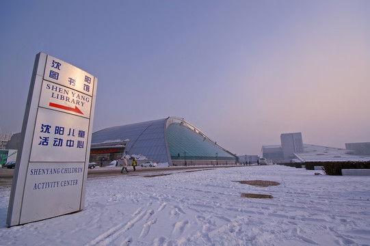沈陽圖書館和沈陽兒童活動中心