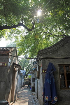 北京鑼鼓巷