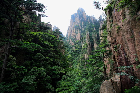 黃山