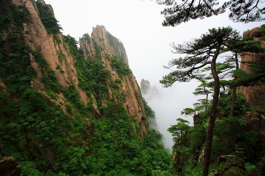 黃山