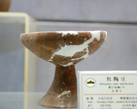 紅陶豆