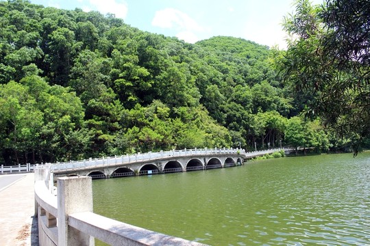 仙湖植物園
