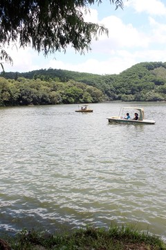 仙湖植物園