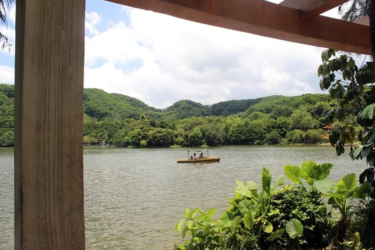 仙湖植物園
